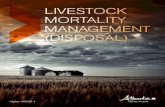 LIVESTOCK MORTALITY MANAGEMENT (DISPOSAL) (Agdex …department/deptdocs.nsf/all/agdex60… · Rendering companies will generally not accept carcasses that do not remain intact when