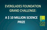 EVERGLADES FOUNDATION GRAND CHALLENGE · EVERGLADES NATION PRIZE GATOR TANK PRIZE ForEverglades Grand Prize GRAND PRIZE Novel and disruptive fresh approaches to P removal and recovery