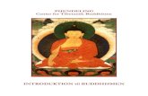 INTRODUKTION til Buddhismen - Center for Tibetansk Buddhisme til buddhismen.pdf · Tibetansk buddhisme er ligesom den japanske zen-tradition en gren af mahayana-vejen. Mahayana betyder