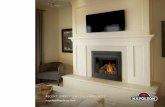 ASCENT TM DIRECT VENT GAS FIREPLACESmynapoleon.napoleonproducts.com/uploads/product... · 4 Options & Accessories Napoleon’s Ascent ™ Series has endless opportunities and is perfect