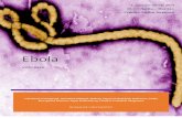 Ebola - COnnecting REpositories · 2016. 8. 5. · 1. semesterprojekt – Ebola Gr. 13 – hus 14.1 – Roskilde Universitet Vejleder – Steffen Jørgensen Side 1 af 53 Abstract