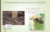 JAPANESE BEETLE PROGRAM OVERVIEW · JAPANESE BEETLE PROGRAM OVERVIEW Plant Health and Pest Prevention Services ... 19. 20 After JB SAP Recommendations ... JAN FEB MAR APR MAY JUN