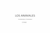 LOS ANIMALES - lapizarradelaciencia.files.wordpress.com · Los animales del tipo cnidarios pueden presentar dos formas distintas: pólipo y medusa. 2) Cnidarios. EL REINO ANIMALES