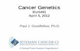 Bio5491 April 5, 2012 Paul J. Goodfellow, Ph.D.genetics.wustl.edu/bio5491/files/2012/04/AdGenApril52012.pdfwere thought to promote malignancy in a straightforward manner, through inactivation
