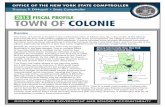 2013 Fiscal Profile - Town of Colonie · 4 2013 FISCAL PROFILE Division of Local Government and School Accountability Between 2002 and 2012, Colonie’s total revenues increased by