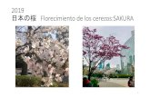 日本の桜 Florecimiento de los cerezos ...

Title 日本の桜 Florecimiento de los cerezos Author kazuhiro fujimura Created Date 4/4/2019 11:22:53 AM