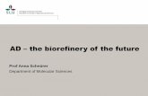 AD the biorefinery of the future - KSLA | Lantbruk · AD –the biorefinery of the future Prof Anna Schnürer Department of Molecular Sciences. Aerobic Digestion CO 2 + H 2 O Heat