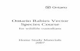 Ontario Rabies Vector Species Course … · more about rabies. This home study guide provides information about rabies that will be useful to wildlife rehabilitators and their foster