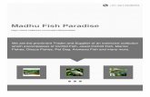 Madhu Fish Paradise - IndiaMART · “Madhu Fish Paradise”, established in the year 2007, at Jaipur, India, is a “Sole Proprietorship (Individual)”. We are well known as a reliable