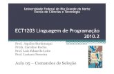 ECT1203 Linguagem de Programação 2010aquilesburlamaqui.wdfiles.com/local--files/ect1203-2010-2-lp/ECT1203 - Aula05...ECT1203 Linguagem de Programação 2010.2 Universidade Federal