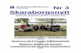Nr 3 Skaraborgsnytt - SRF€¦ · räkna pengar, låsa upp dörrar, borsta tänderna till matlagning, ... 2/12– 6/12 iPhone Del 1 1 vecka 9/12–13 ... Tibro Karlsborg via epost