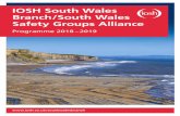 IOSH South Wales Branch/South Wales Safety Groups Alliance · IIRSM is almost unique in that we offer . membership to health, safety and risk practitioners, organisations and their