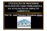 Prof. Dr. José Francisco Gonçalves Júniorlabs.icb.ufmg.br/benthos/index_arquivos/pdfs_pagina/Impacto/3.pdf · AQUATIC ECOLOGY- Scale, Pattern and Process - Guiller, Hildrew & Raffaelli,