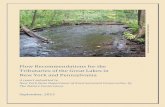 Flow Recommendations for the Tributaries of the Great ... · 12/8/2008  · Flow Recommendations for the Tributaries of the Great Lakes in New York and Pennsylvania. A report submitted