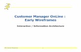Customer Manager OnLine : Early Wireframesmichellebacigalupi.com/CMO/EarlyWireframes.pdf · Early Wireframes – High Level Summary . ... Defaults to the first item of the list Switch