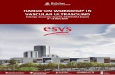 HANDS -ON WORKSHOP IN VASCULAR ULTRASOUND · 2 HANDS -ON WORKSHOP IN VASCULAR ULTRASOUND Bellvitge University Hospital, Barcelona (Spain) 8 - 10 May 201 9 AIM The main goal of this