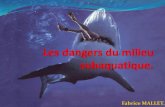 Les dangers du milieu subaquatique.bourbonplongee.e-monsite.com/medias/files/dangers-du-milieu-1.pdf · * Le grand requin blanc * Le requin tigre * Le requin océanique * Le grand