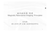 MagagetcneticResoesoacenanceImagag g cpesing: Principlesm99.nthu.edu.tw/~s9962554/hhpeng/slide/20110411_MRI-1.pdf · 磁共振影像: 原理 MagagetcneticResoesoacenanceImagag g cpesing: