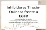 Inhibidores Tirosin- Quinasa frente a EGFR · Caicun Zhou , et al. Erlotinib versus chemotherapy as first-line treatment for patients with advanced EGFR mutation-positive non-small-cell