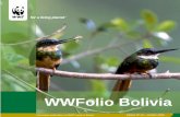 WWFolio Bolivia - wwfeu.awsassets.panda.orgA trans-border eco-regional focus for the Cerrado-Pantanal The joint coordination of efforts between offices sharing activities in the same
