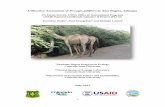 Utilization Assessment of Prosopis juliflora in Afar ......Omani goats without compromising product quality. In Ethiopia, 10 and 20% inclusion of ground P. juliflora pods was found