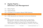 6 Digital Rights – Deﬁnition and Management6.3! Principles of Encryption-Based DRM Systems 6.4 ! Watermarking 6.5! DRM Standards and Selected Commercial Solutions Literature:!
