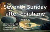 Seventh Sunday after Epiphany - Revised Common Lectionary · 2016. 9. 23. · Seventh Sunday after Epiphany Year A Leviticus 19:1-2, 9-18 Psalm 119:33-40 1 Corinthians 3:10-11, 16-23