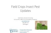 Field Crops Insect Pest Updates · PDF file Field Crops Insect Pest Updates David Owens, Extension Entomology UD Carvel REC, 16483 County Seat Highway, Georgetown. owensd@udel.edu