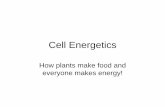 Cell Energetics - Sintich Science - Homesintichscience.weebly.com/.../cell_energeticsadv__2_.pdf · 2018. 9. 9. · converted into lactic acid or ethyl alcohol instead of moving into