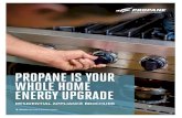 PROPANE IS YOUR WHOLE HOME ENERGY UPGRADE · ENERGY UPGRADE RESIDENTIAL APPLIANCE BROCHURE. TRANSFORM YOUR HOME WITH CLEAN, AMERICAN PROPANE HIGH EFFICIENCY FURNACES HYBRID HEATING