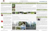Ecological Services The Massawa Project Responsible ......These surveys were conducted using a series of line-transects, reconnaissance (recce) walks, and camera-trap methods to determine