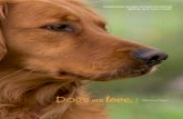 2016 Annual Report - Homeward Bound...4NNUAL REPORT 2016 A Our Mission.ward Bound Golden Retriever Rescue and Sanctuary, Inc. is an all-Home volunteer organization which rescues and
