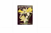 1898 -SEÉDS coo DETROIT, · 2018. 4. 3. · 1898 -SEÉDS coo DETROIT, Title: Daffodil Bag Author: Amy Buchanan Created Date: 4/3/2018 2:15:42 PM