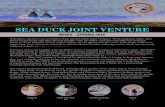 NEWS - SPRING 2016 - Sea Duck Joint Ventureseaduckjv.org/.../2016/05/Sea-Duck-Joint-Venture-Newsletter-May-20… · Borough, USFWS, University of Alaska, Fairbanks, and the Sea Duck