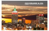 ACCOUNTANTS & SUCCESS CONSULTANTS® - Accounting Services New York | Tax & Business Consulting BROCHURE... · • Business Advisory • Sarbanes-Oxley • Assistenza e servizi in