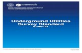 Underground Utilities Survey Standard€¦ · UNDERGROUND UTILITIES SURVEY STANDARD –August 2019 1.3 DEFINITIONS Term Definition AHD Australian Height Datum AusGeoid Models used