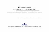 DERECHO - ESAP · 4 apoyo 2.5 Desarrollo de la unidad 2.5.1 Origen y evolución de las constituciones colombianas 2.5.2 El proceso constituyente de 1991 2.5.3 La interpretación de