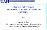Strategically Tuned Absolutely Resilient Structures (STARS) · matrix, typically an epoxy of some type ... Applied Mechanics, Orlando, Florida, June 2-5, 2008, Paper No. 71, 12 pages.