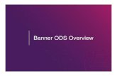Banner ODS Overview - SOU HomeBanner Operational Data Store (Banner ODS) The primary source of aggregated and detailed data is comprised of over 300 reporting views containing data