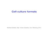 Cell culture formatskubbies.de/.../Module_7_cell_culture_formats.pdf · Cell culture splitting Split ratio: dilution factor of new seeded cell number / cell number harvested. Total