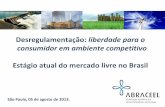 Desregulamentação: liberdade para o consumidor em ambiente competitivo Estágio ... · 2014. 1. 16. · São Paulo, 05 de agosto de 2013. Desregulamentação: liberdade para o consumidor