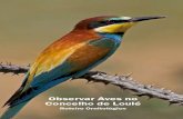 Observar Aves no Concelho de Loulé - altehostel.pt · no intuito de observar e fotografar as diferentes espécies de aves. Os ricos e variados valores natu-rais e paisagísticos