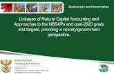 Linkages of Natural Capital Accounting and Approaches to ......•Natural Capital Accounting is a transformative driver of change to better take into account biodiversity in different