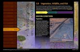 Introduction 3.1 3.9 VEGETATION, WILDLIFE, AND FISHndotspaghettibowl.com/.../Section_3.9_Vegetation_Wildlife_Fish.pdf · 3.9 Vegetation, Wildlife, and Fish This section describes