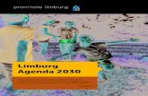 Limburg Agenda 2030€¦ · gekeken. Parallel is via een aantal routes (social media-raadpleging, dialoogsessies met jongeren op scholen en ‘Tips4Theo’) de interactie met inwoners