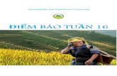 Văn phòng Điều phối nông thôn mới Trung ươngnongthonmoi.gov.vn/FileUpload/2020-05... · phát triển toàn diện về sản xuất nông nghiệp, đời sống nông