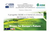 Il progetto SEBE e il trend di crescita del biogas in Italia...Censimento impianti biogas agro-zootecnici Impianti per classi di dimensione di potenza elettrica installata (n.) Classe
