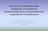 Educación y sensibilización ambiental, herramienta ... · Educación y sensibilización ambiental, herramienta fundamental en la conservación del cangrejo de río autóctono Núria