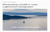 Johan W. Elzenga - Lees.nllees.nl/wp-content/uploads/Photoshop-CC2017-voor-Lightroom-fotog… · Bij Cursors zet ik de Tekencursors altijd op Standaardpenseeluiteinde, en Andere cursors