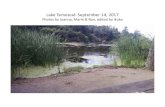 Lake Temescal: September 14, 2017 · 9/14/2017  · Photos by Joanna, Marie & Ron, edited by Ikuko . Carol G. & her works in watercolor . Ling & his watercolor . Joanna’s watercolor